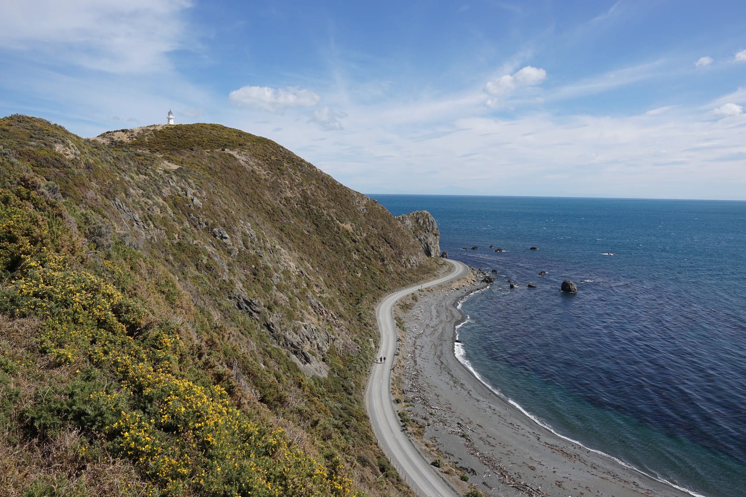 Looking down to the main Pencarrow 4WD track. The lower lighthouse is just around that corner, with the upper one visible on the hill.