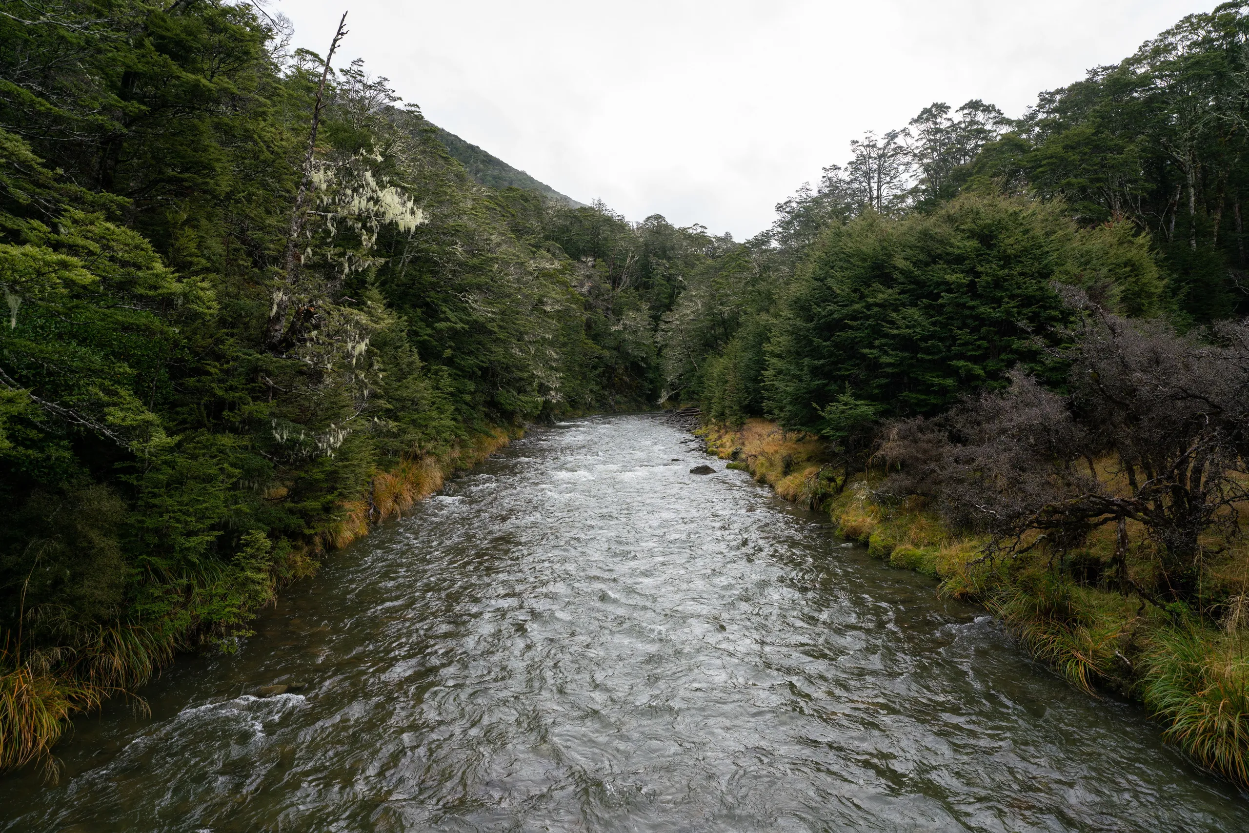 Second crossing of Boyle River