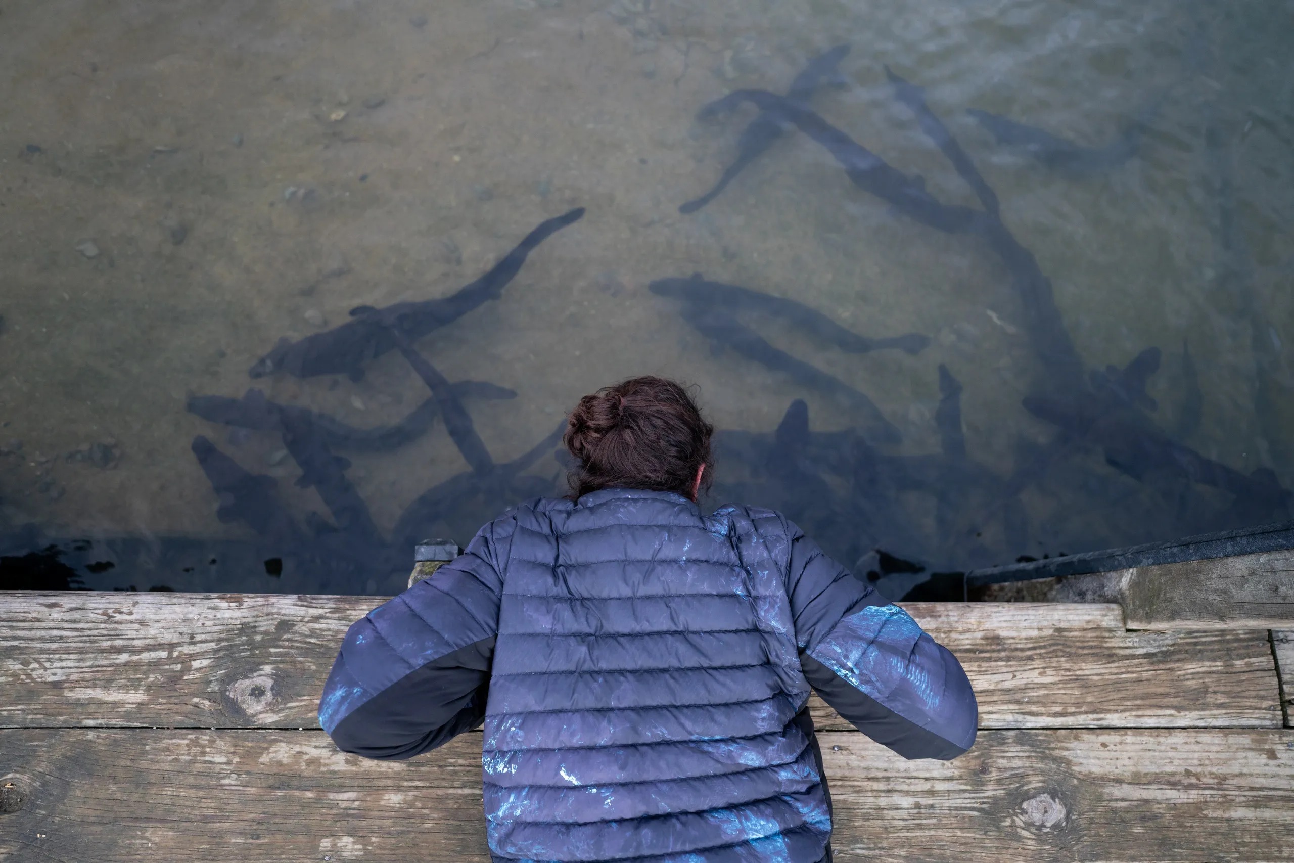 Meeting the local longfin eels (tuna kuwharuwharu)