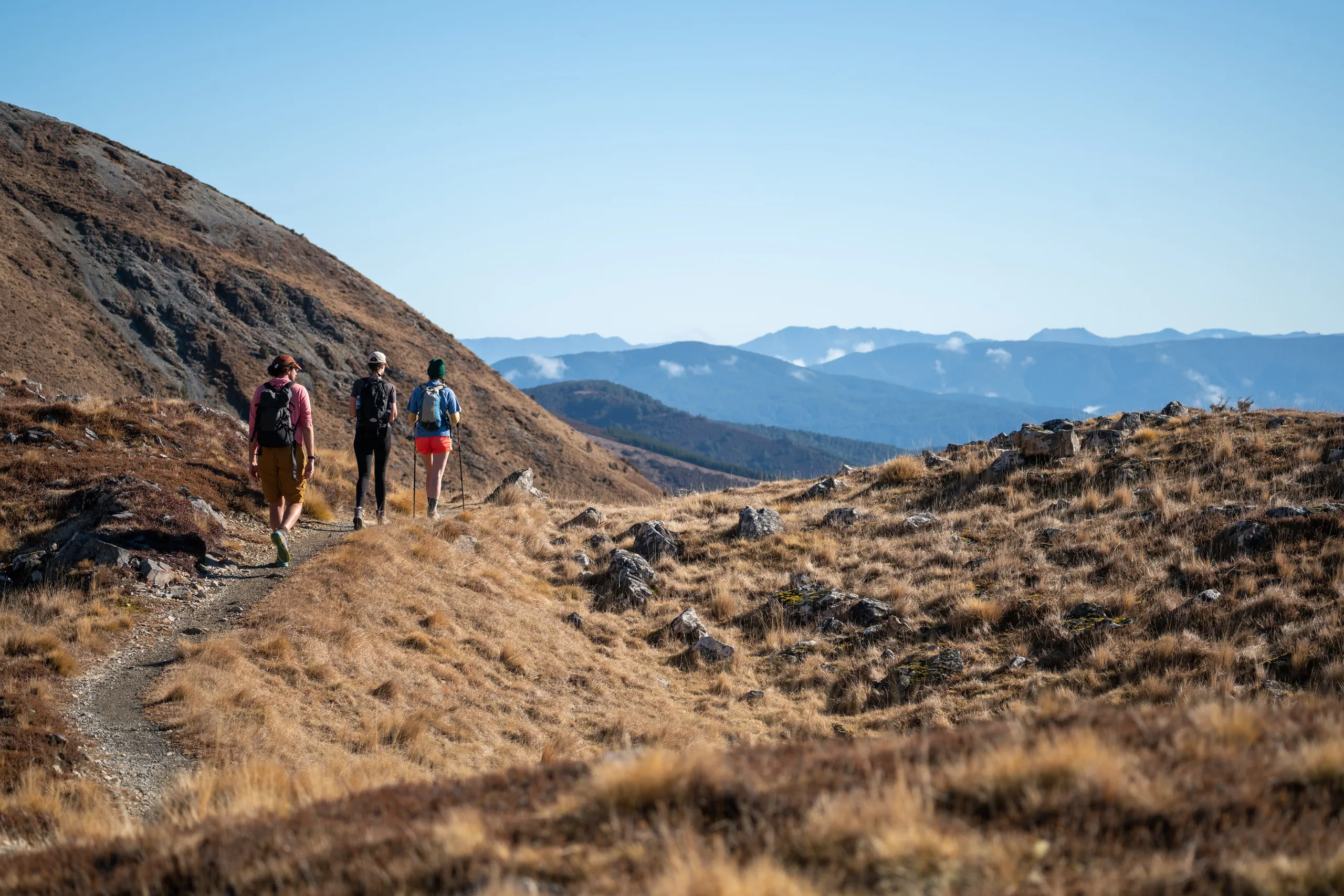 The party passes over a saddle near Bushline Hut