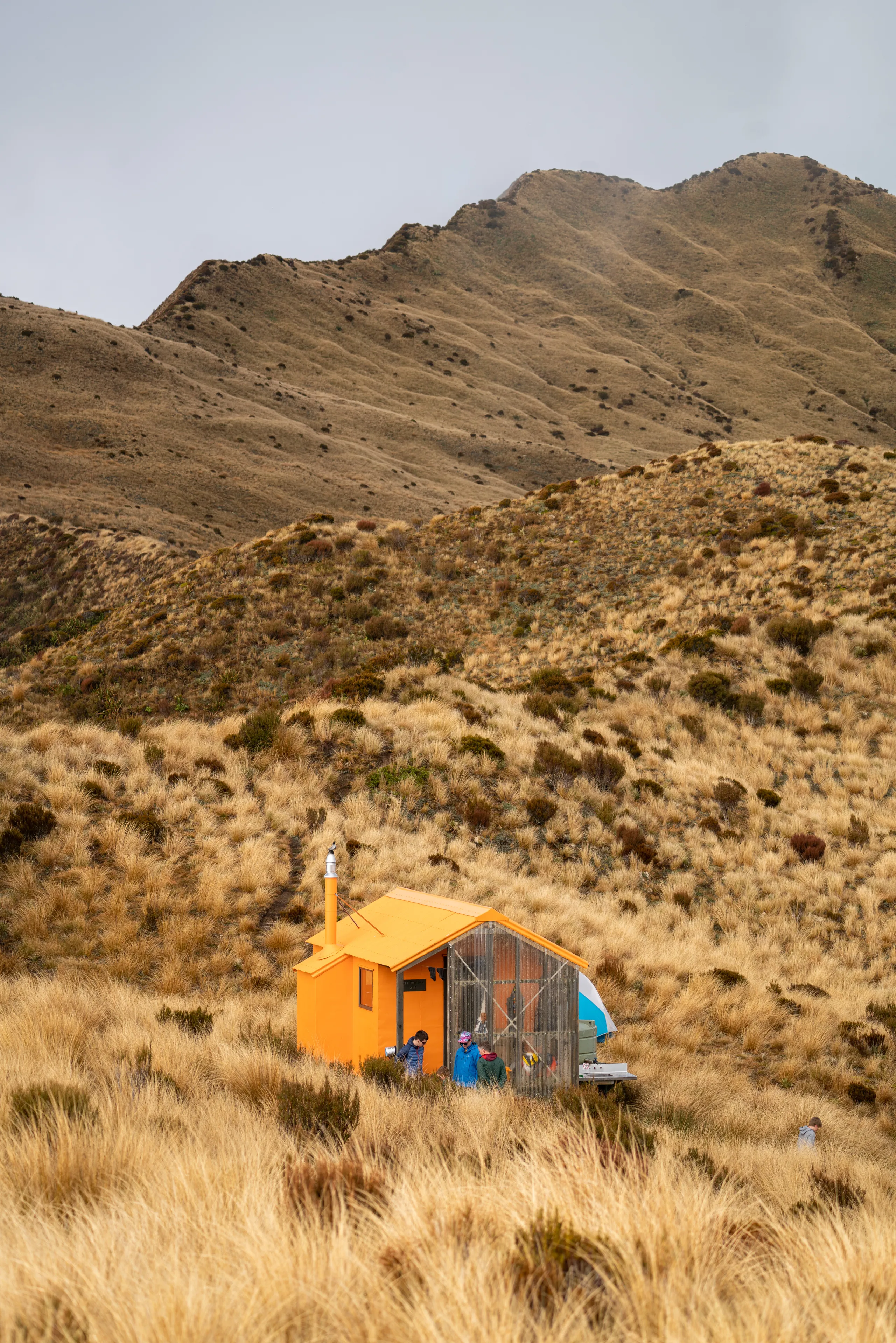 Mt Brown Hut with Newton Range in the background