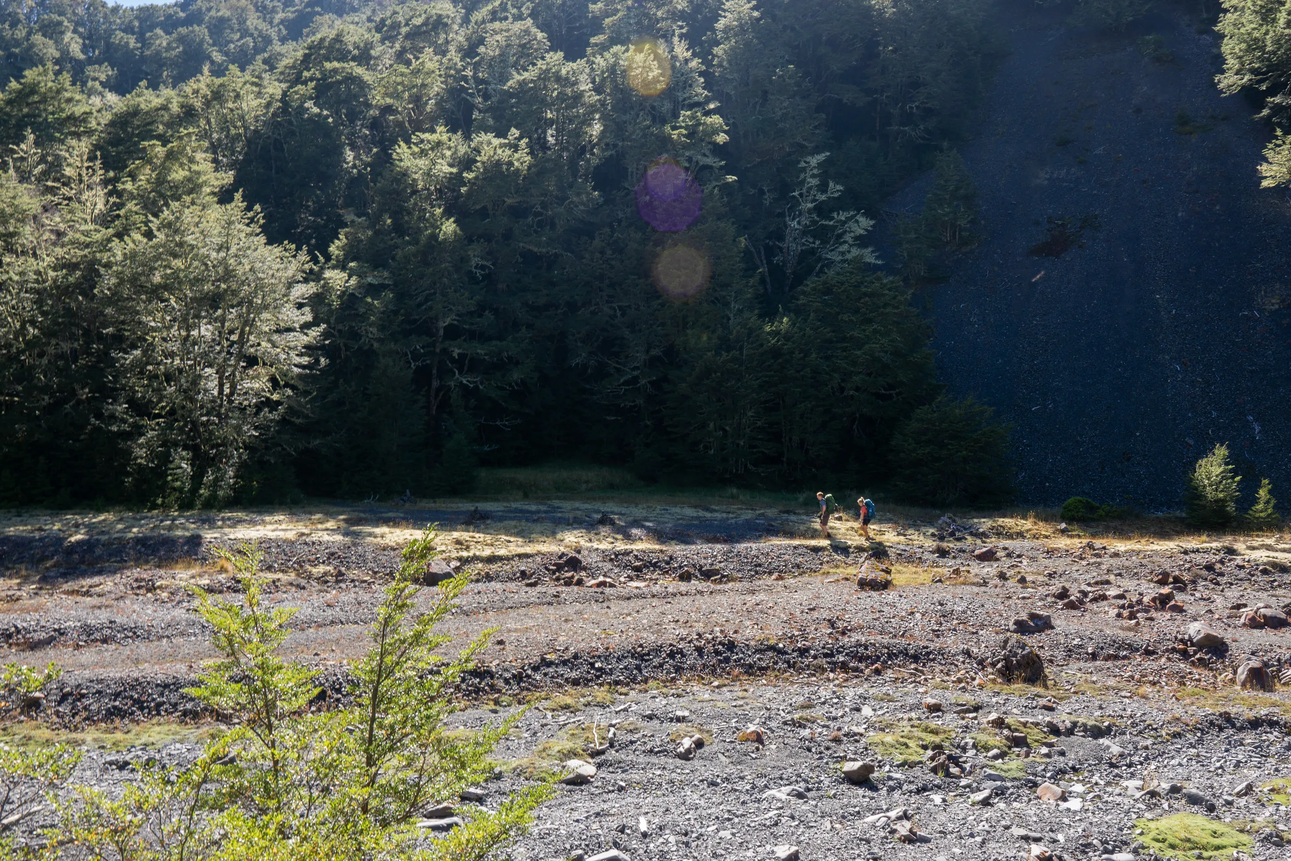 We found a comfortable spot for lunch, perched high on a riverbank overlooking a clearing. There was this moss that made for the most pleasant cushion. We watched some others pass us while we ate.