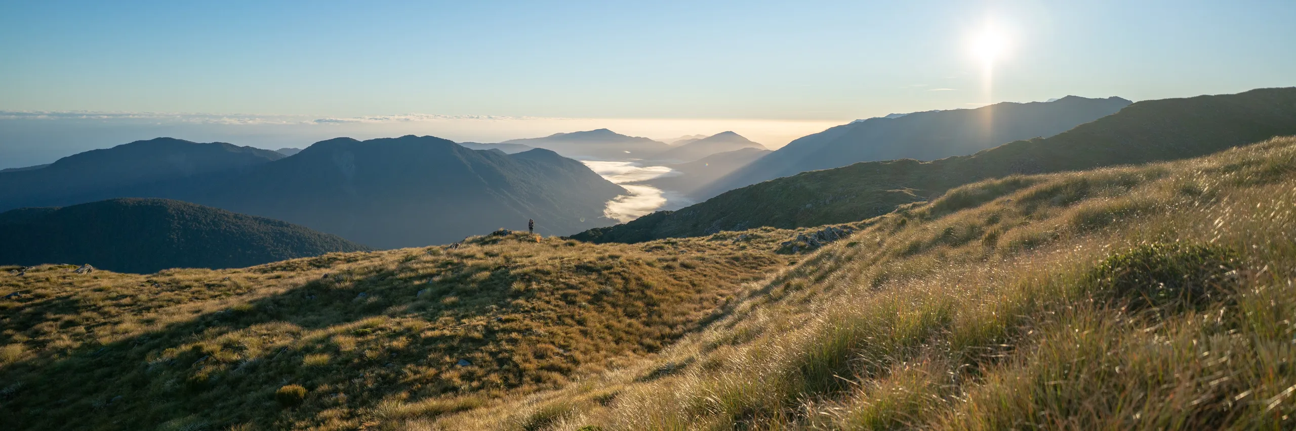 Looking out from the tops before descending back into the bush