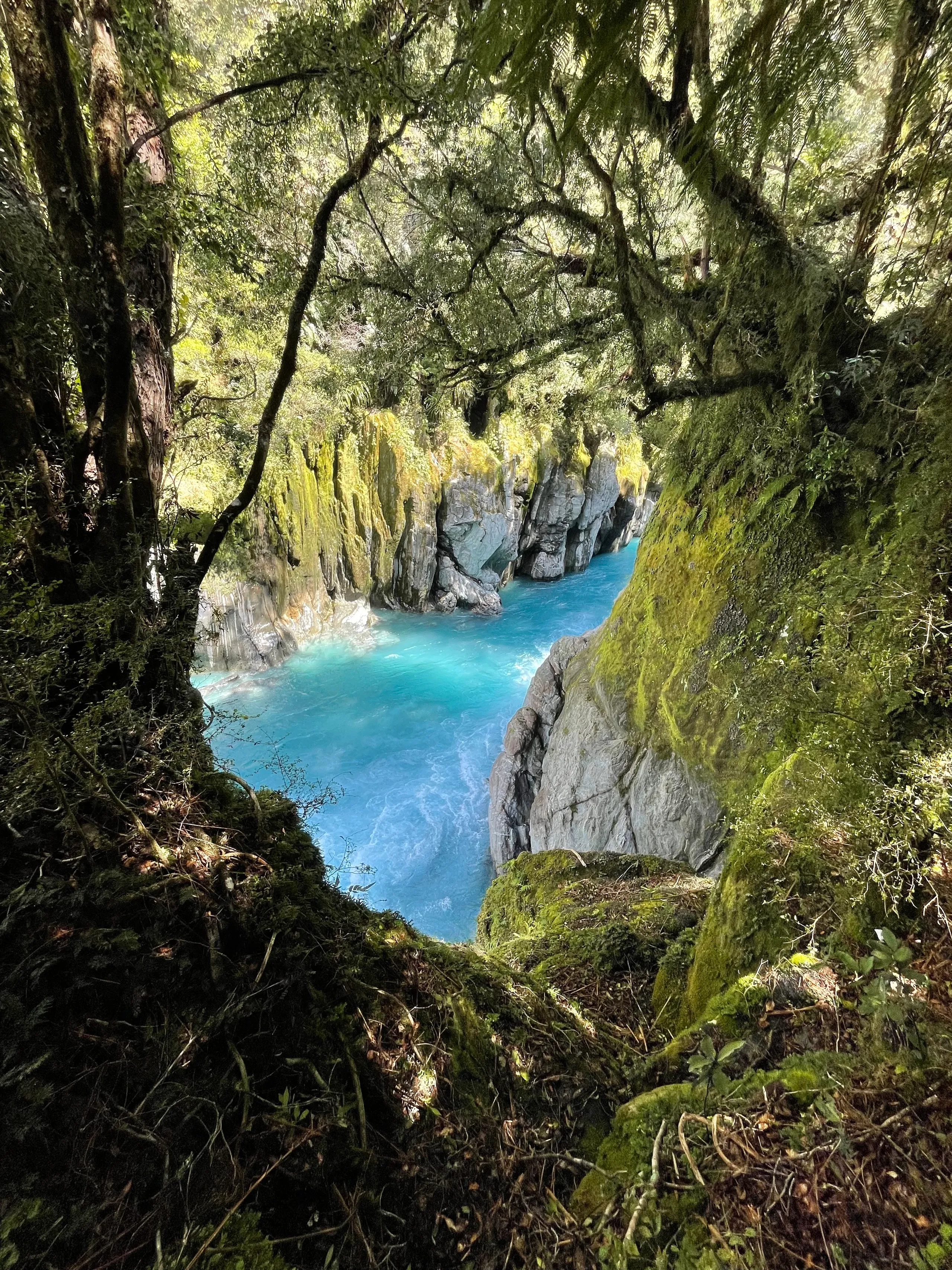 Stunning gorge views alongside the track