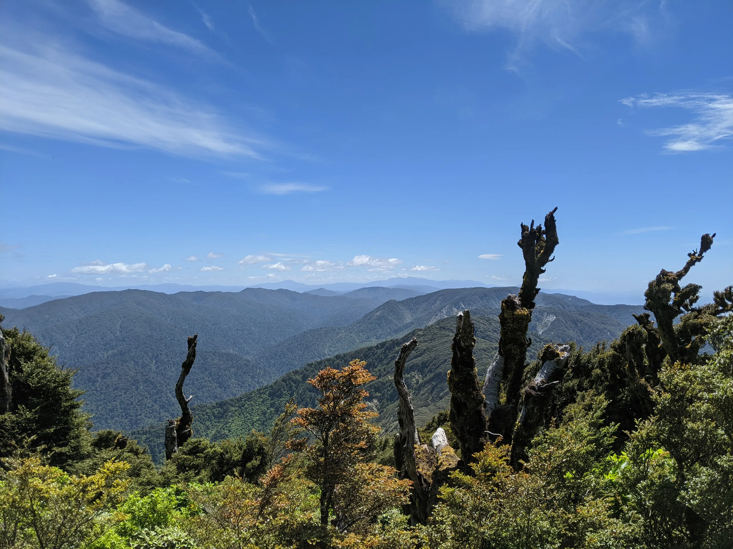 Looking along Remutaka Range, with Tararua Range in the distance. I had a strange feeling while looking along the range from this angle - a feeling that I was somehow inside the Wellington skyline.