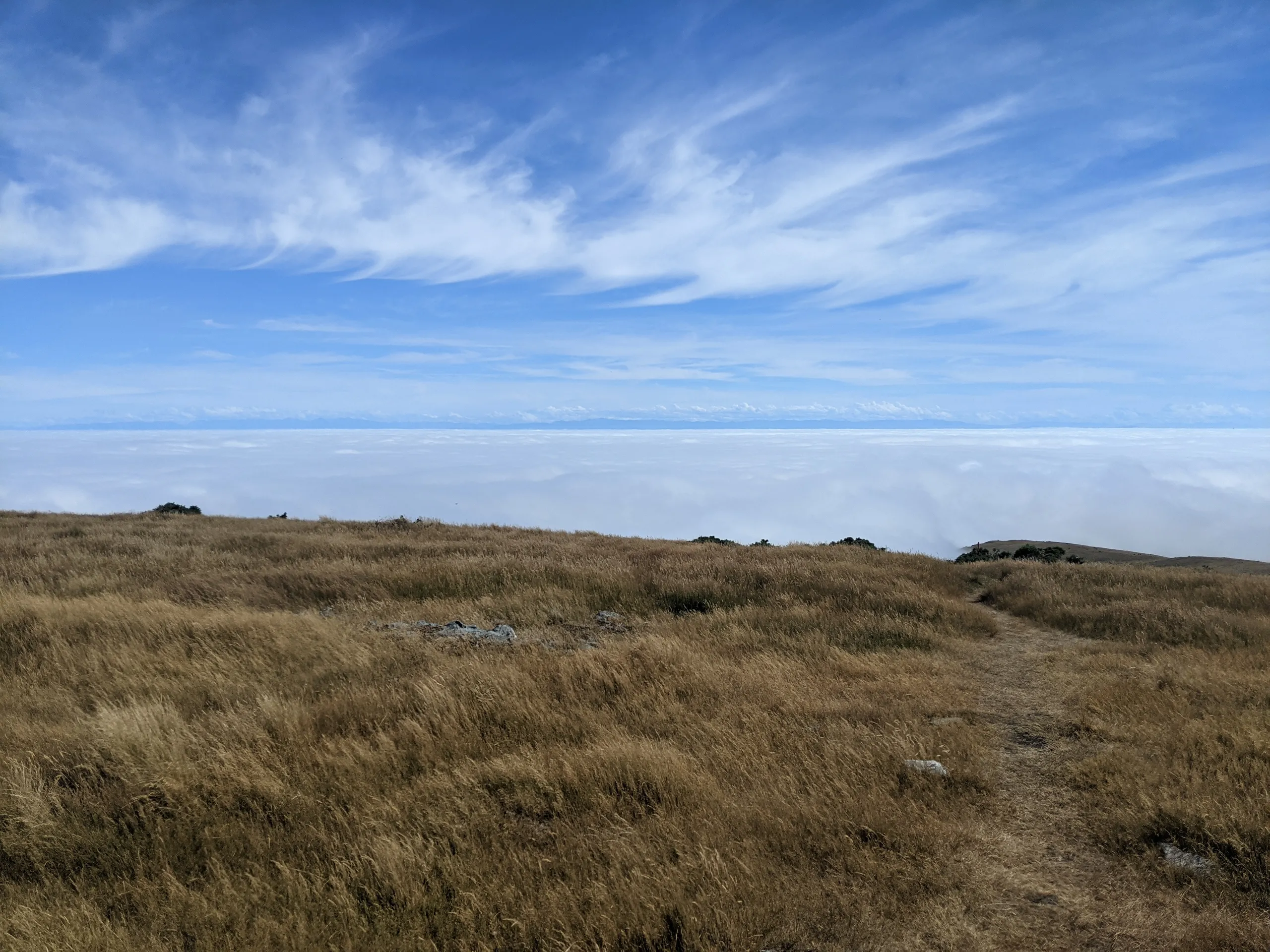 Mt Herbert summit. Ethereal views above the cloud all the way to the alps!