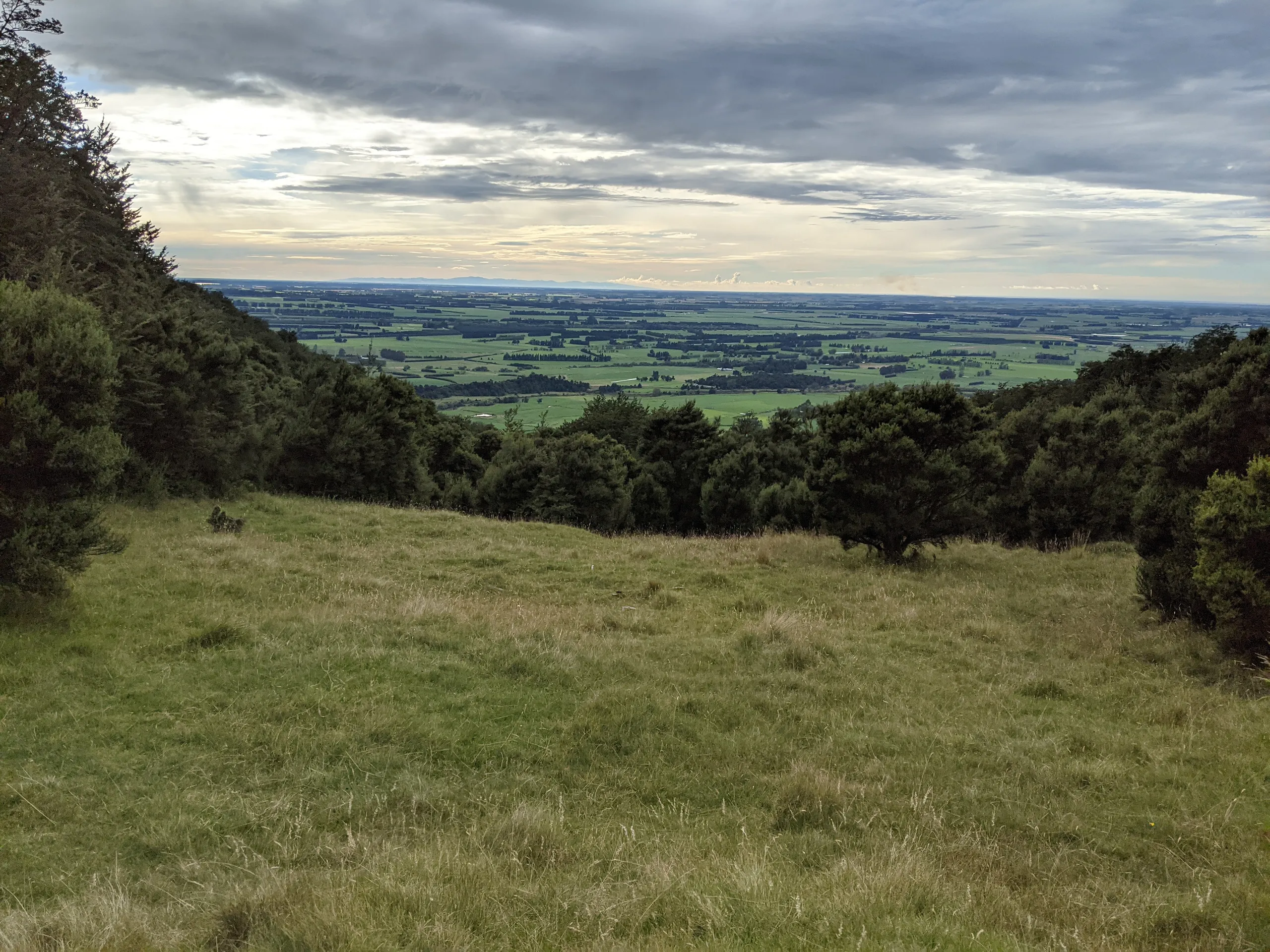 The first clearing during the initial ascent. The entire south face had beautiful views out across the plains.