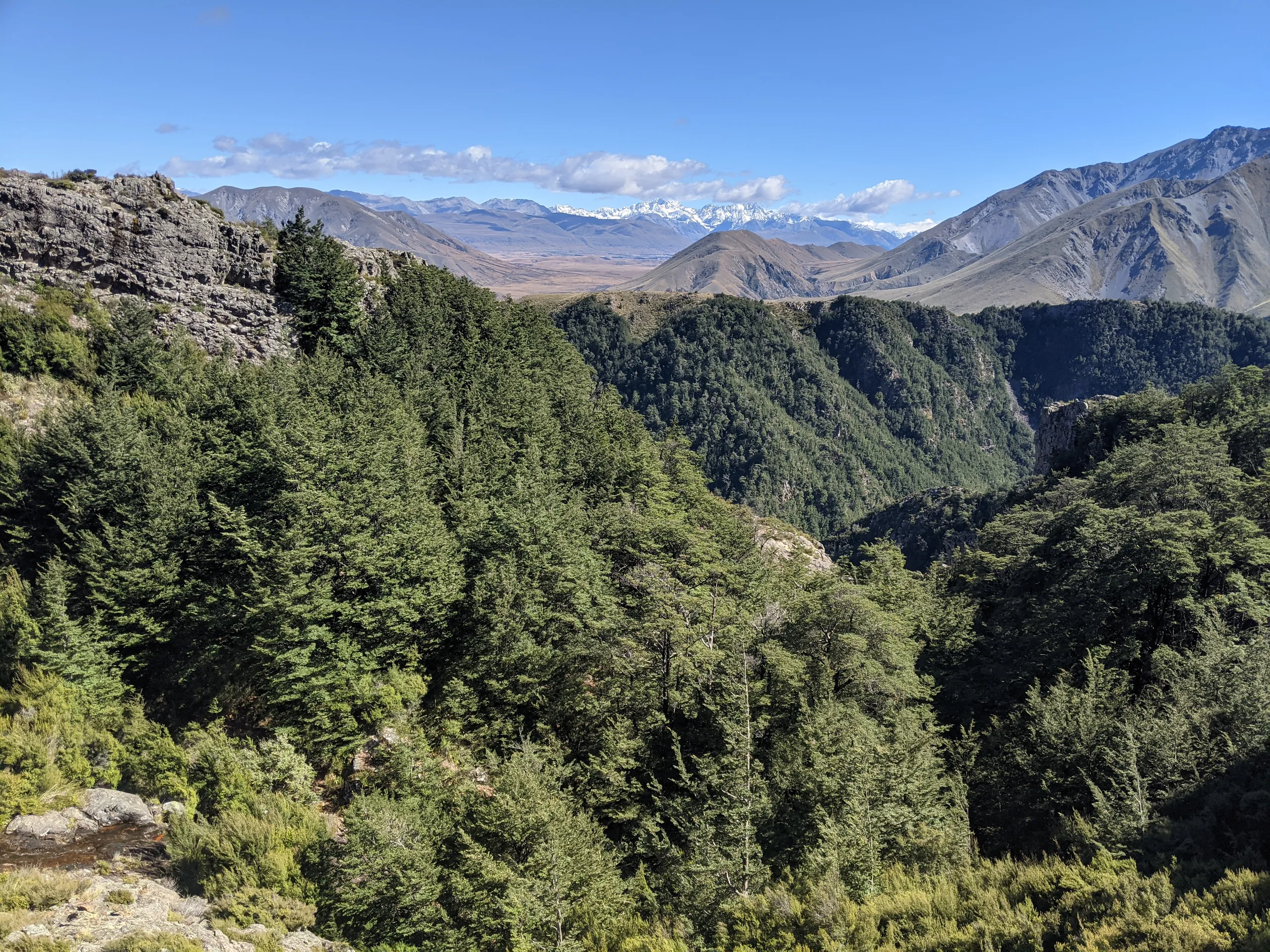 Beautiful rock formations and forest around the west of the mount. I think that's Two Thumb Range visible in the distance.