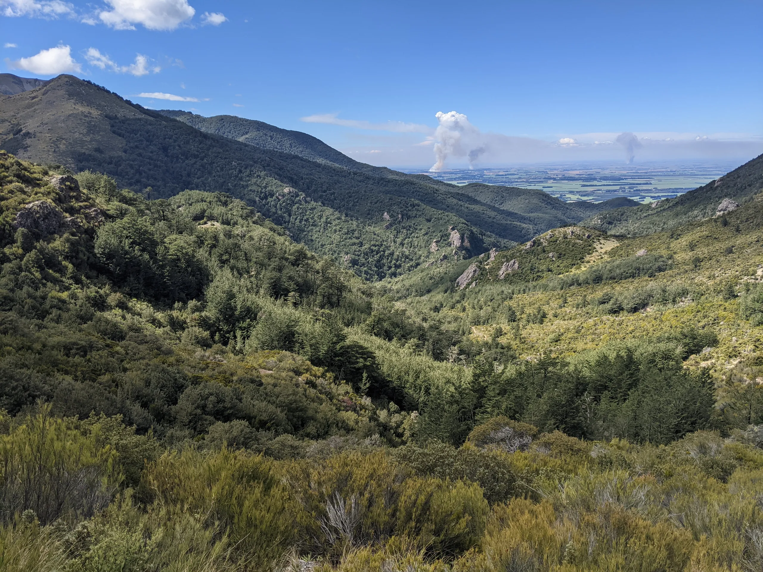 Another view of the plains before the track dips down below the bushline to reach Pinnacles Hut. There were a bunch of fires in the distance.