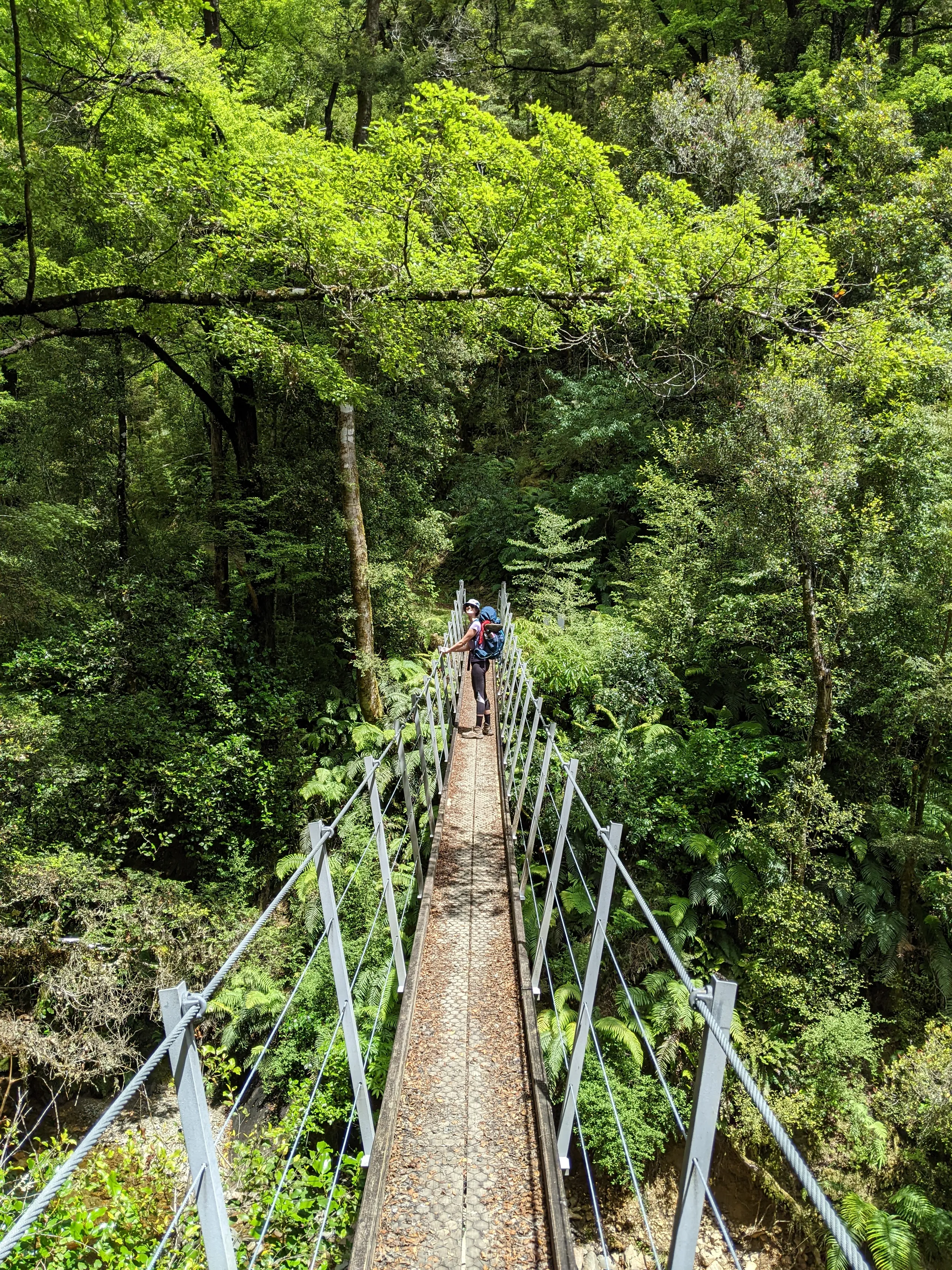 The bridge which emerges from a tunnel