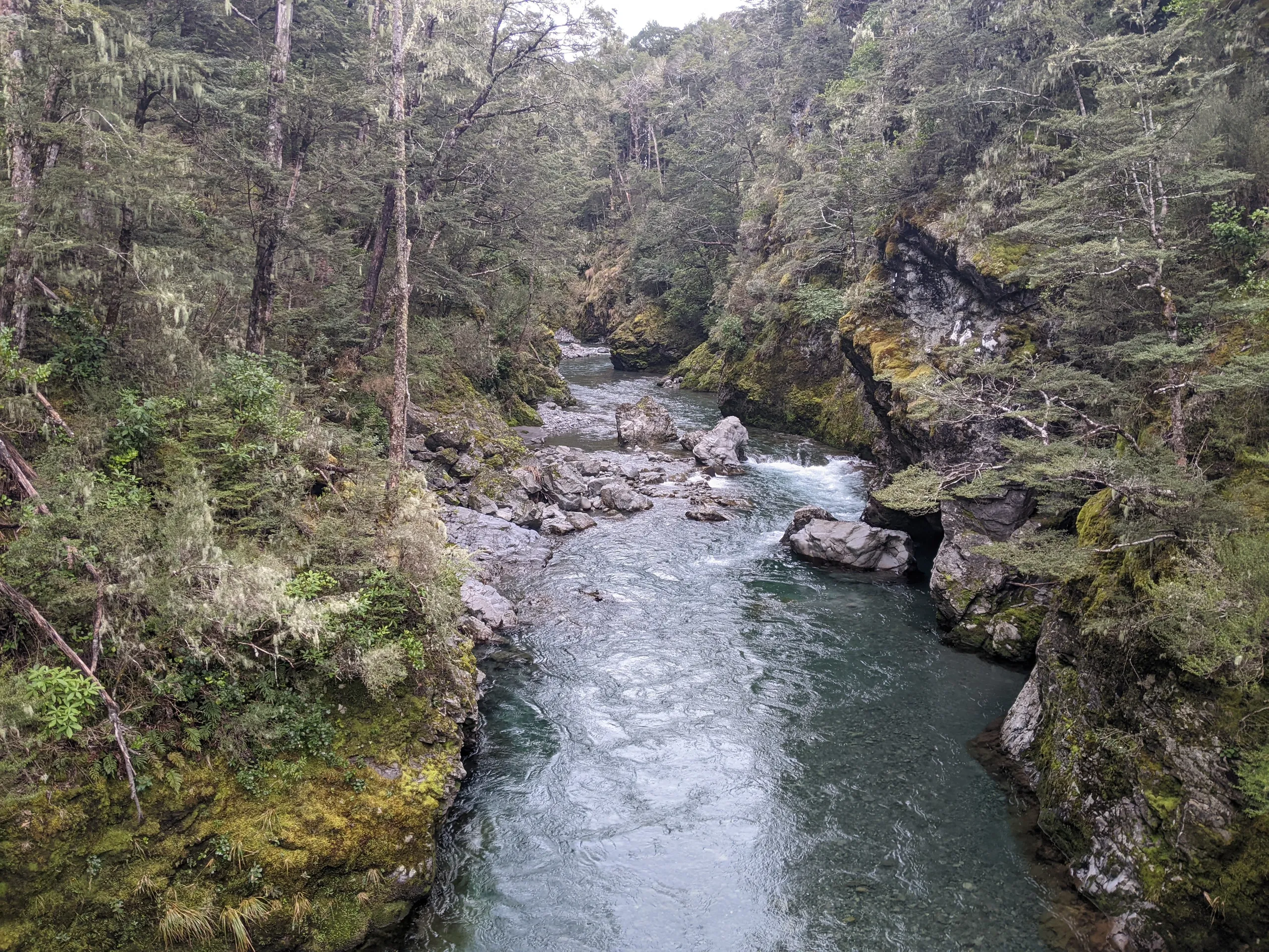 The bridged gorge section of the Hope River was surprisingly pretty