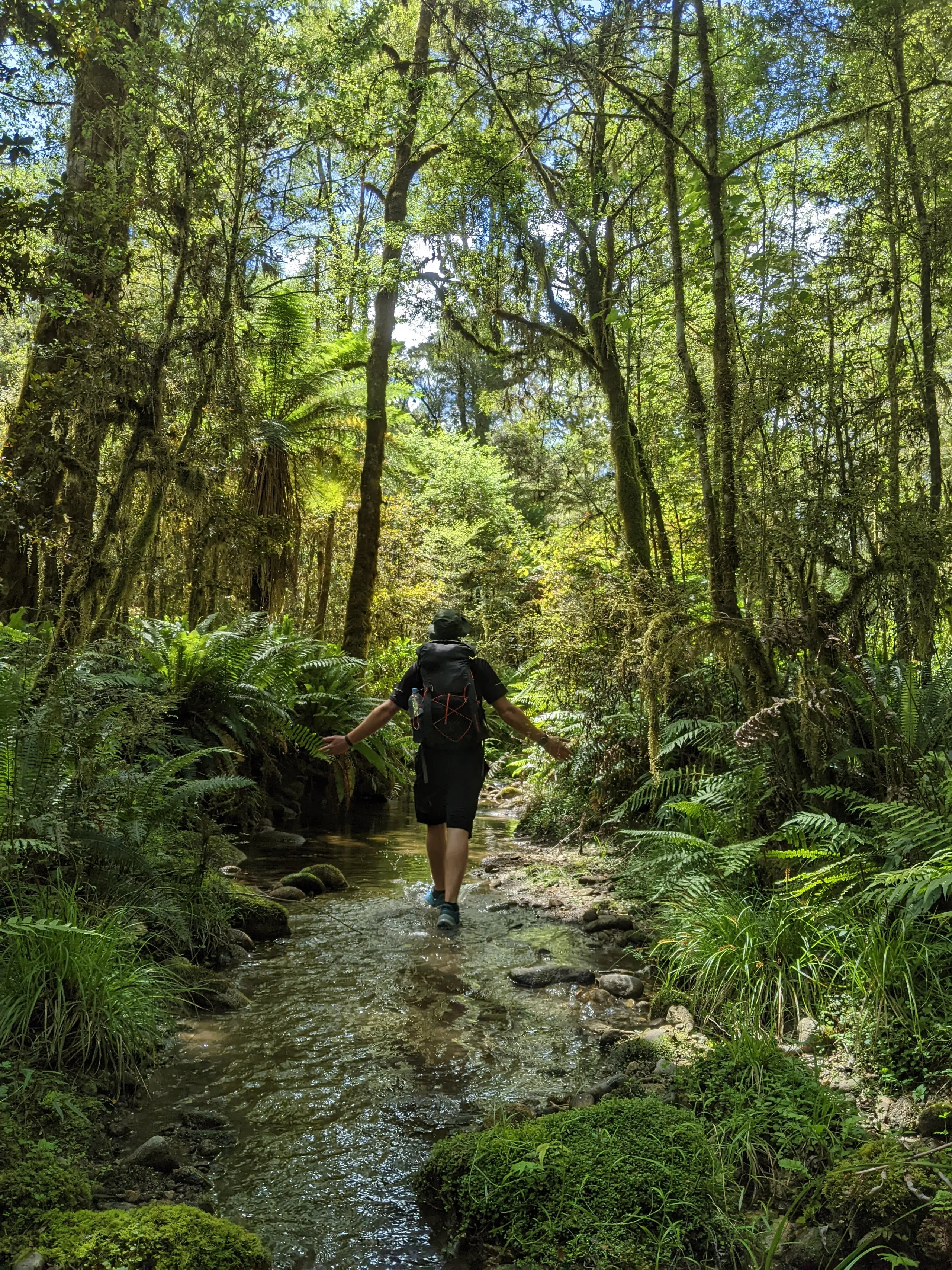 Taking in the stunning West Coast jungle as we follow a side stream for a bit