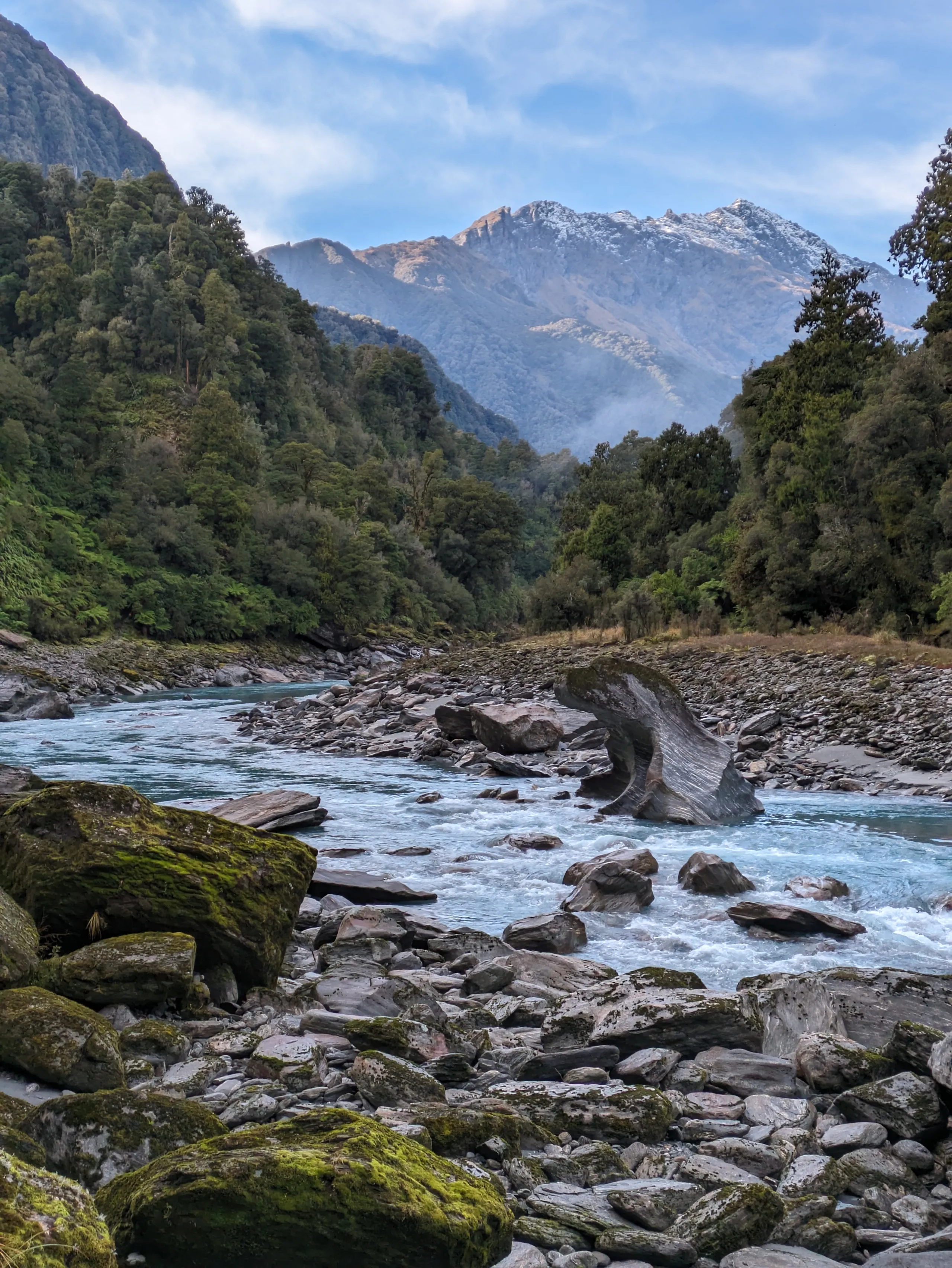 Dog-shaped rock in the river